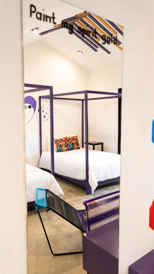 Hotel Suculenta Boutique San Cristóbal de Las Casas Buitenkant foto