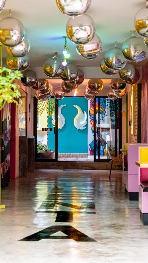 Hotel Suculenta Boutique San Cristóbal de Las Casas Buitenkant foto